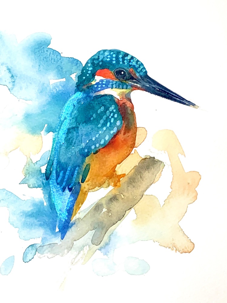  Original watercolour of a kingfisher