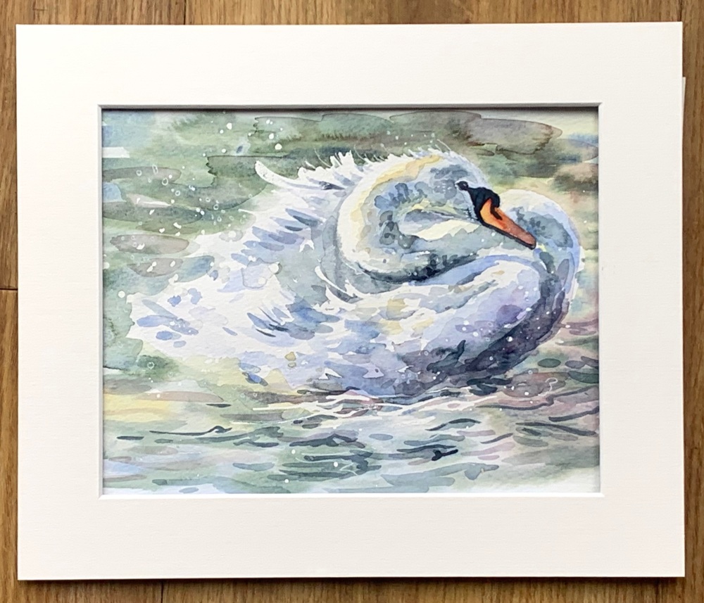 Swan Original watercolour