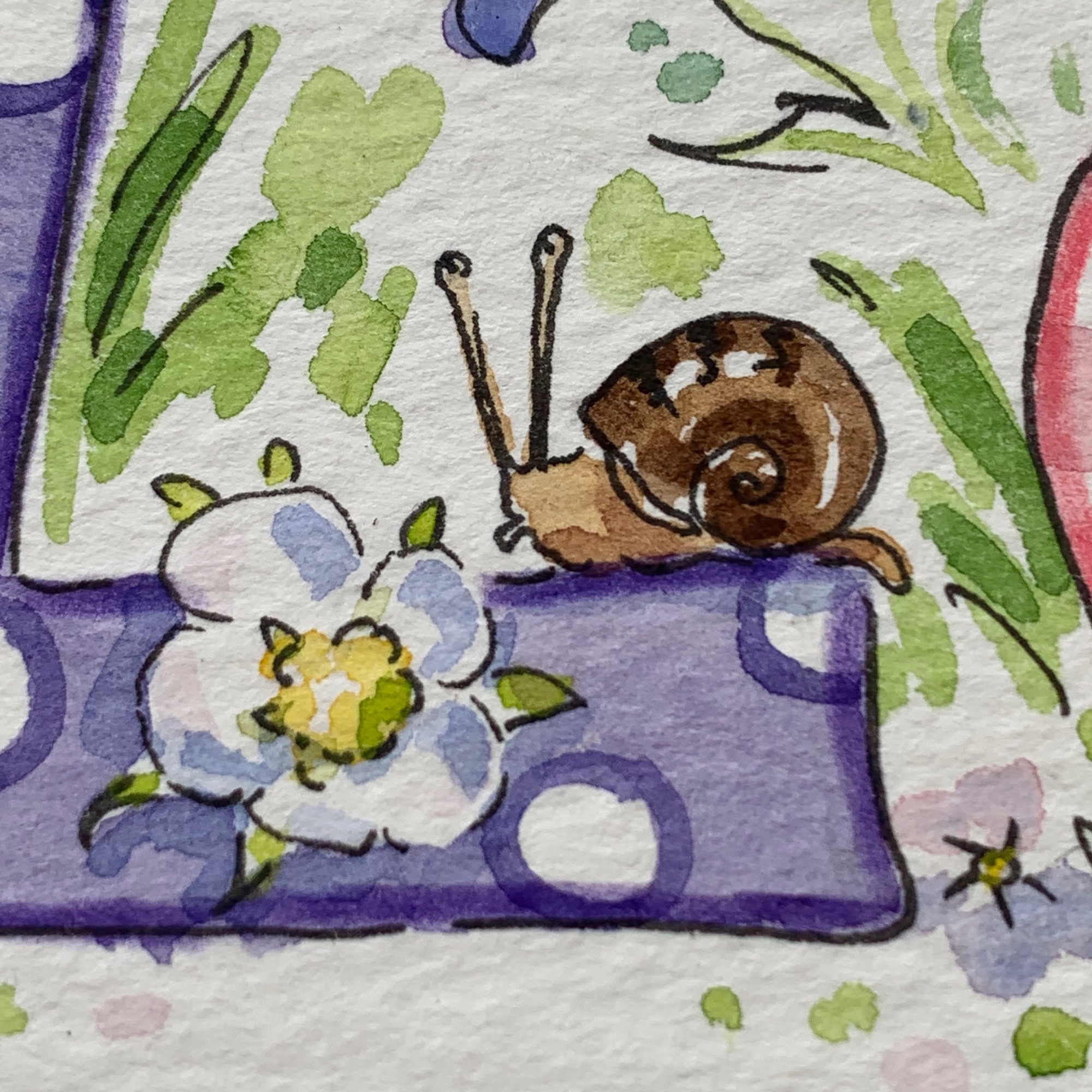 snail and strawberry flower watercolour