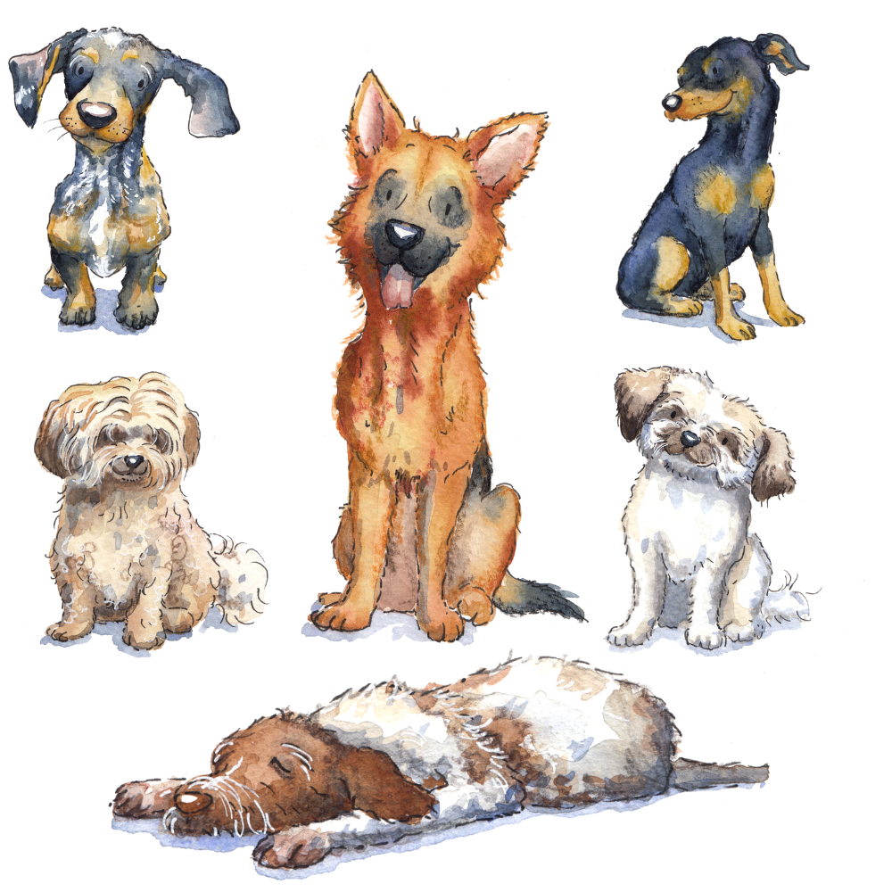 Mini Dog watercolour - personalised