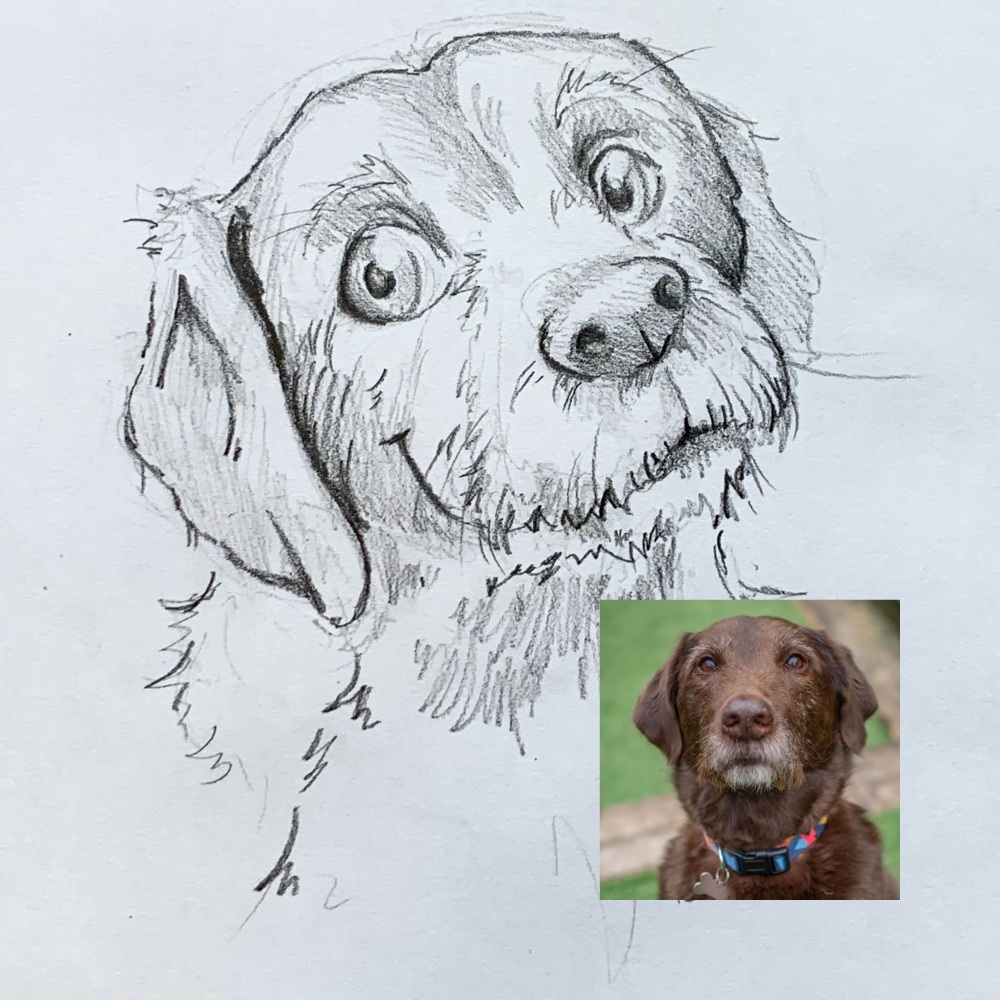 Dog cartoon pencil portrait