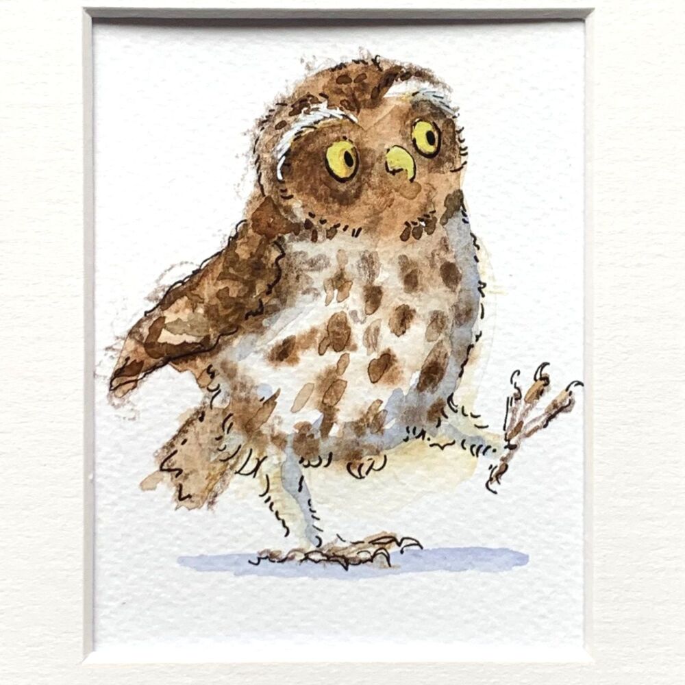 Little owl paintings