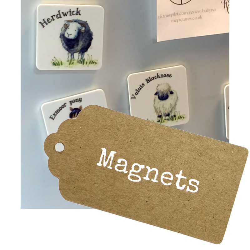 Magnets