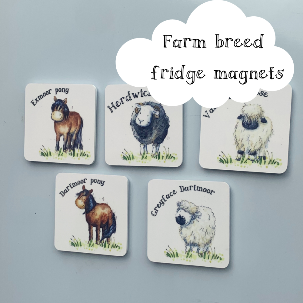 Fridge magnet - farm animal