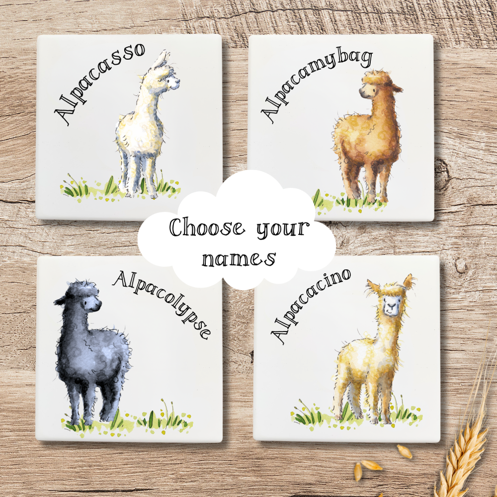 Ceramic Farm Animal Coaster - set of 4