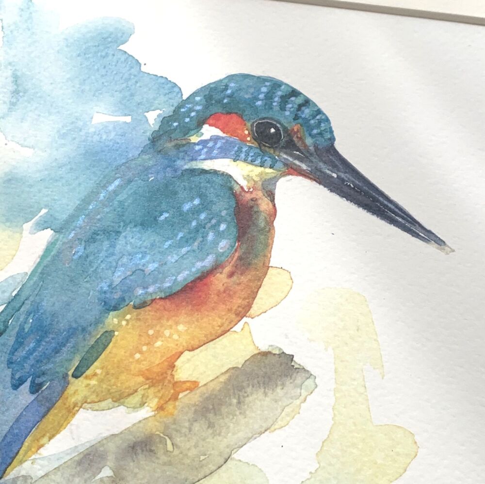 Kingfisher fine art print (Limited edition numbered)