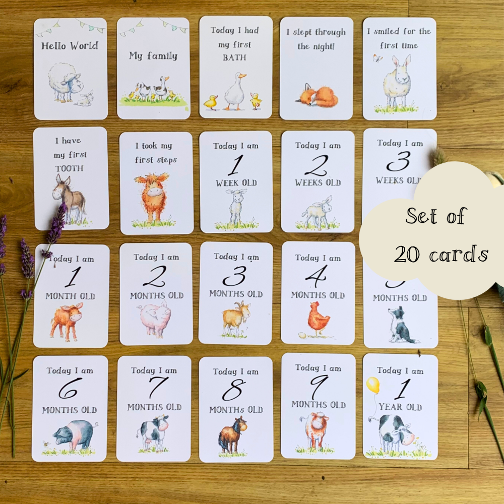 Baby Milestone Cards