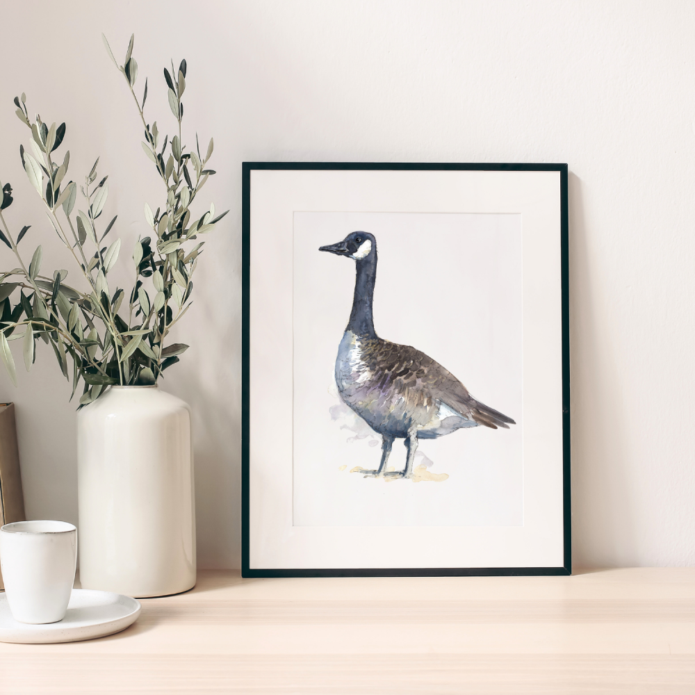 Canada Goose watercolour print