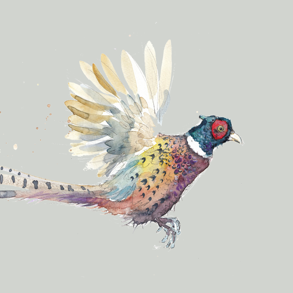 Birds