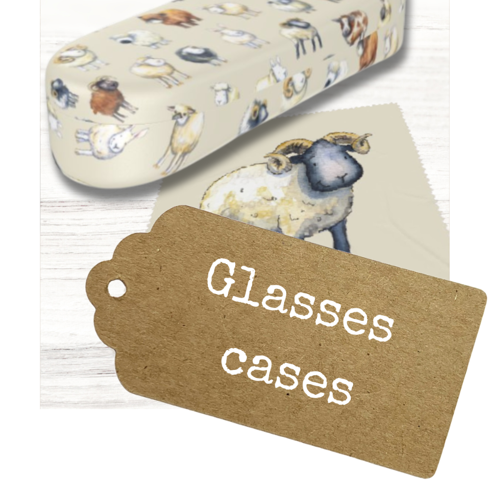 Glasses cases
