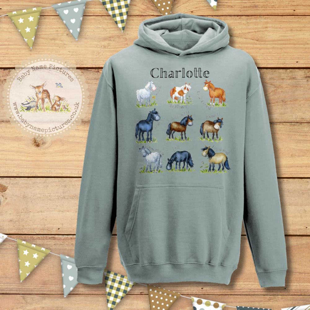 Personalised Pony Breeds Hoodie – Custom Name Equestrian Sweatshirt | Horse Riding Gift | 35 Colours