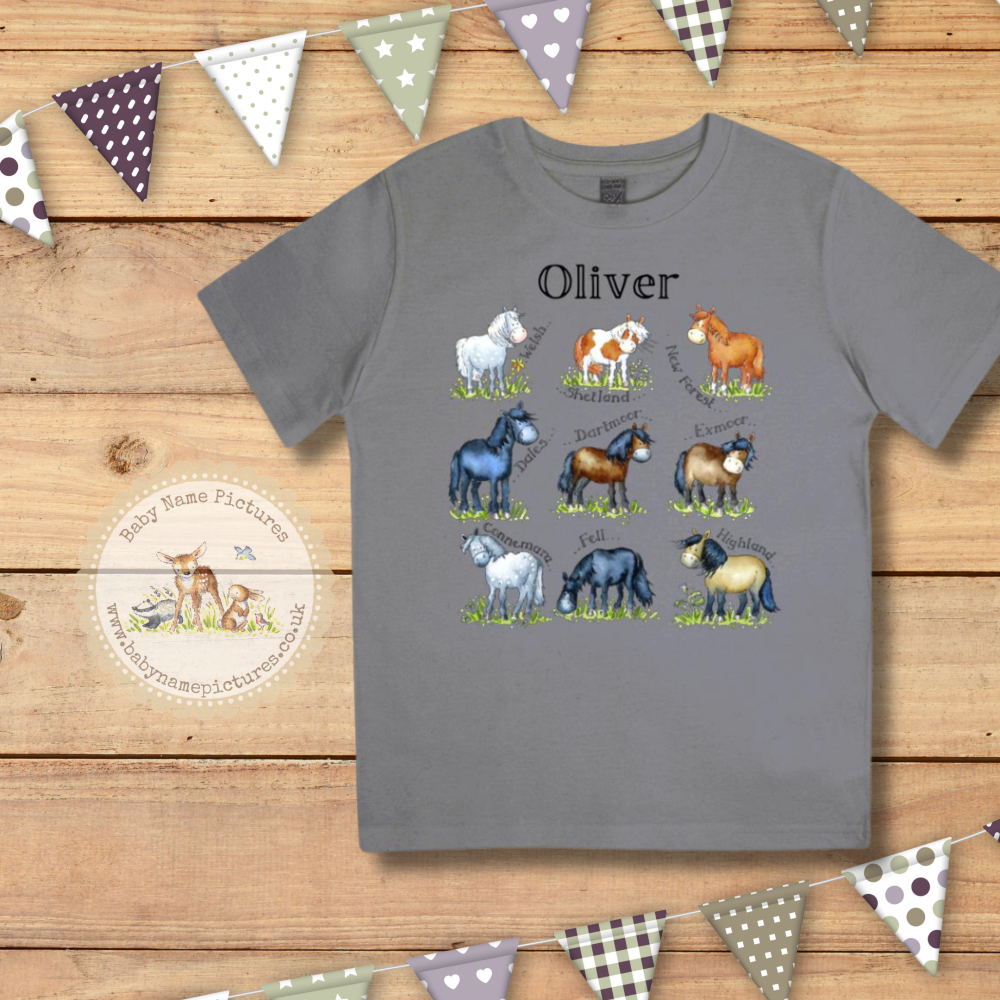Toddler pony tee shirt