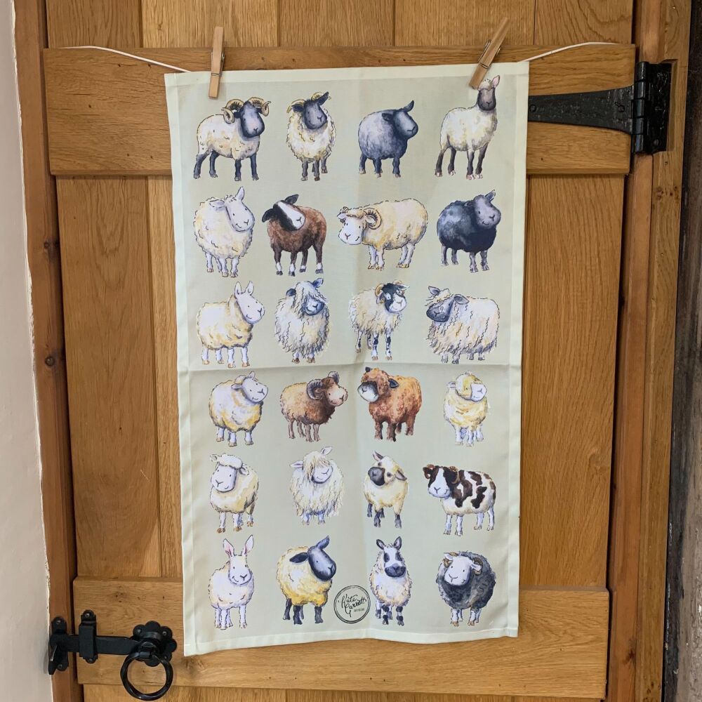 Sheep breeds tea towel  green
