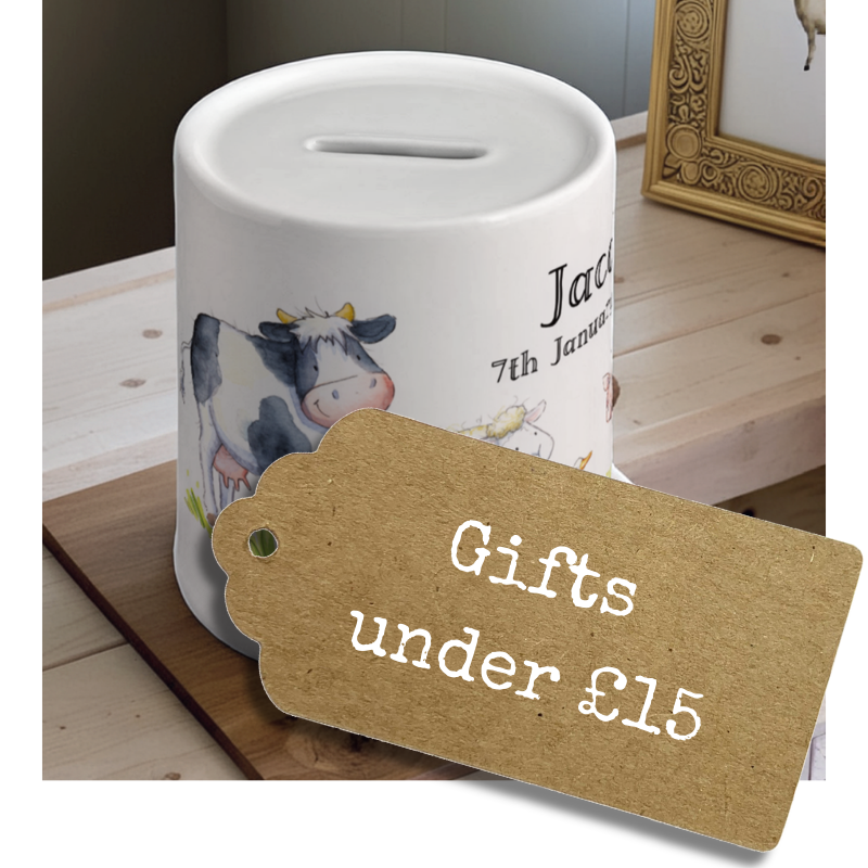 <!--010-->Baby Gifts Under &pound;15
