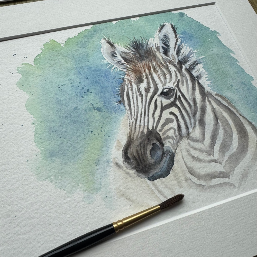 Baby Zebra Original Watercolour Animal Painting