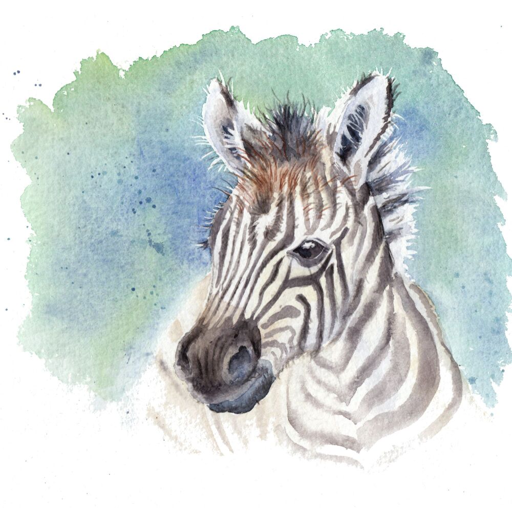 Baby Zebra Original Watercolour Animal Painting