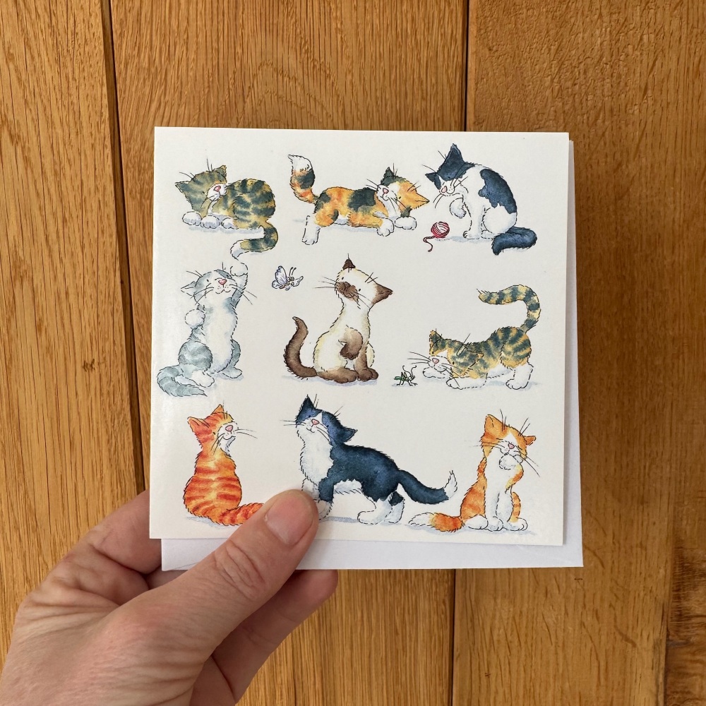 Funny Cats greeting card