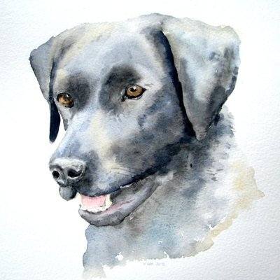 Watercolour Pet Portrait