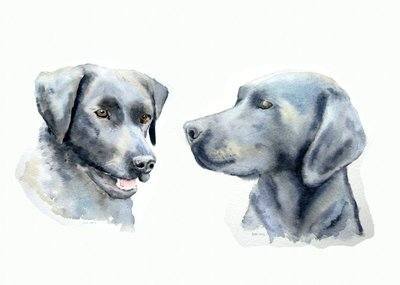 Watercolour Pet Portrait (2 pets on one picture)