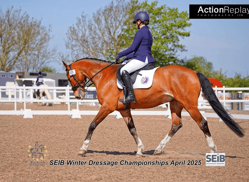 ezgif.com-animated-gif-maker (4)