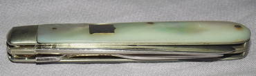 Silver Fruit Knife Sheffield 1901 (6)