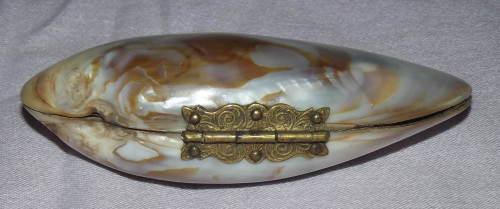 Victorian Mother of Pearl Shell Purse (2)