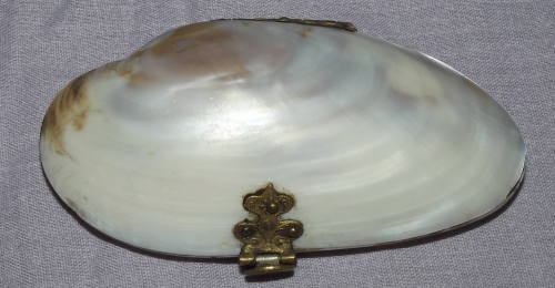 Victorian Mother of Pearl Shell Purse (3)