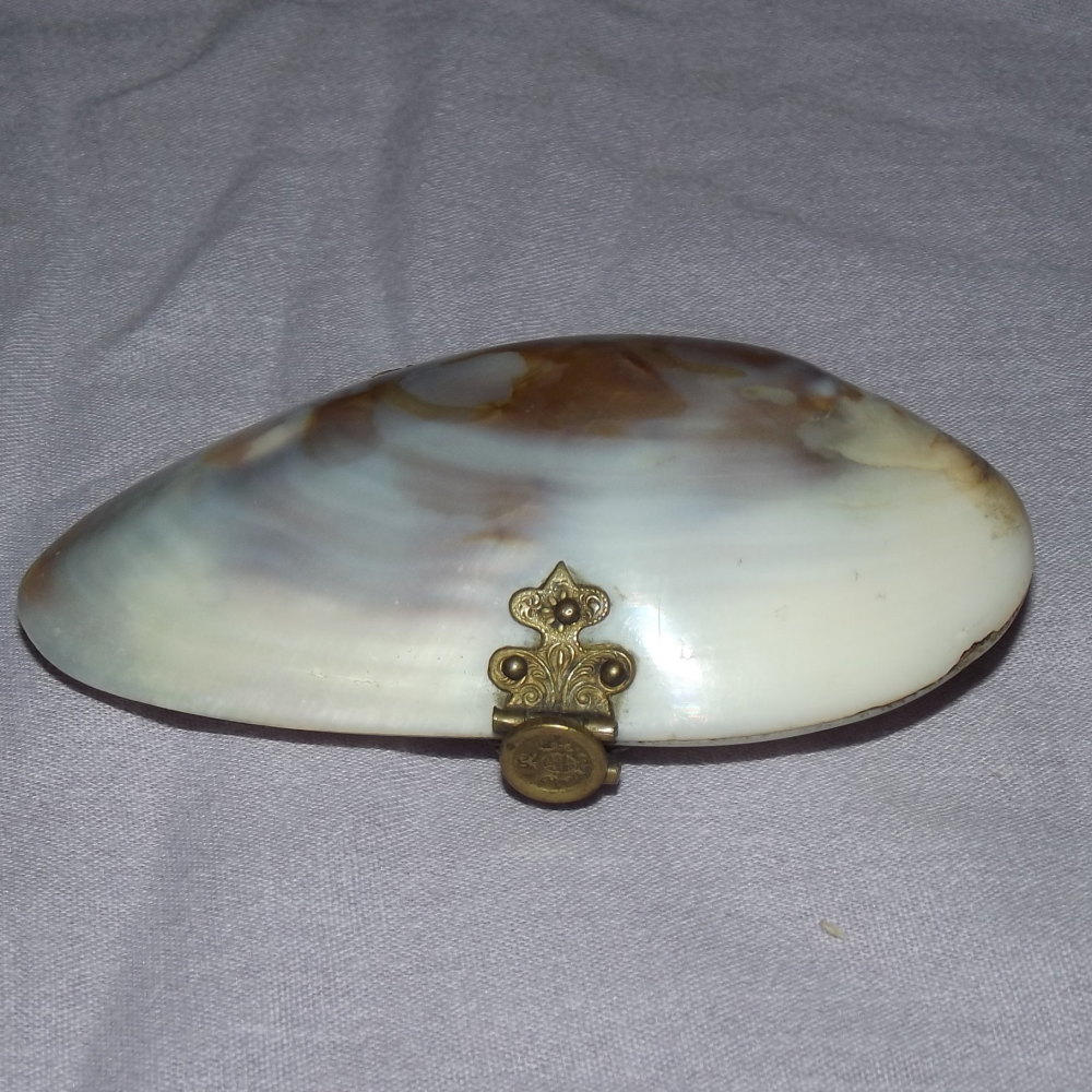 Victorian Mother of Pearl Shell Purse.