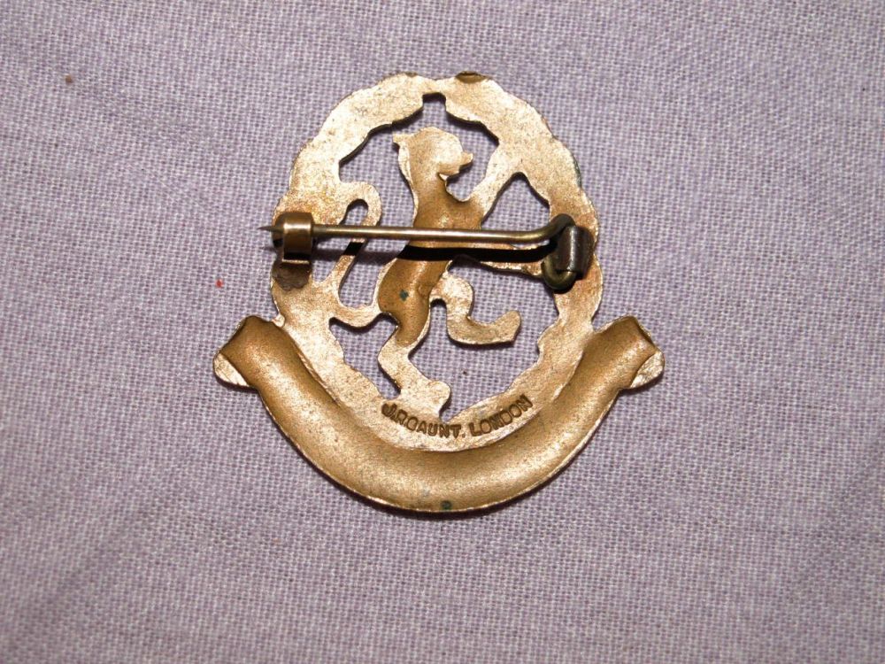 QMAAC & ATS Comrades Association Badge Military Army Armed Forces