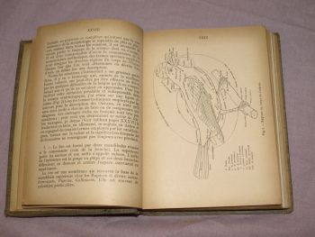 Les Oiseaux De France, The Birds of France Book, A Menegaux, Vol 1. (4)