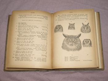 Les Oiseaux De France, The Birds of France Book, A Menegaux, Vol 1. (5)