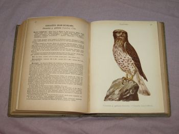 Les Oiseaux De France, The Birds of France Book, A Menegaux, Vol 1. (6)