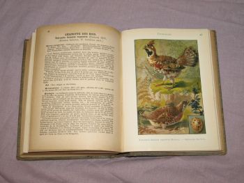 Les Oiseaux De France, The Birds of France Book, A Menegaux, Vol 1. (7)