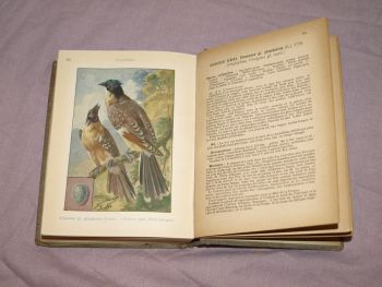 Les Oiseaux De France, The Birds of France Book, A Menegaux, Vol 1. (8)