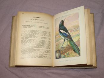 Les Oiseaux De France, The Birds of France Book, A Menegaux, Vol 4. (5)