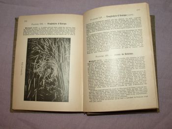 Les Oiseaux De France, The Birds of France Book, A Menegaux, Vol 3. (5)