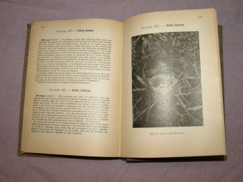 Les Oiseaux De France, The Birds of France Book, A Menegaux, Vol 3. (7)