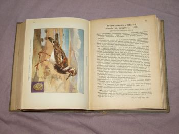 Les Oiseaux De France, The Birds of France Book, A Menegaux, Vol 2. (6)
