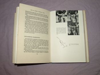 The Pig Farmer&rsquo;s Veterinary Book by Norman Barron. (6)