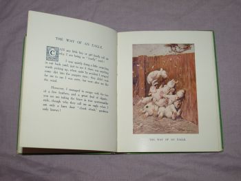 Puppy Tails, G. E. Studdy, George Jellicoe, 1920s. Bonzo. (9)