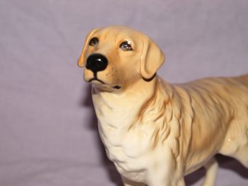 Beswick Golden Retriever Dog. Model Number 2287. (5)