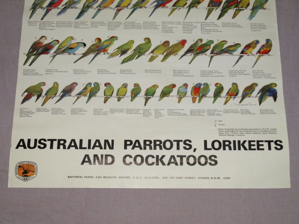 National Parks And Wildlife Poster Australian Parrots Lorikeets And Cockatoos 