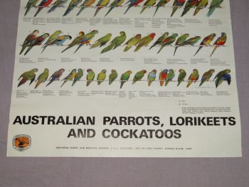 National Parks &amp; Wildlife Poster, Australian Parrots, Lorikeets and Cockato