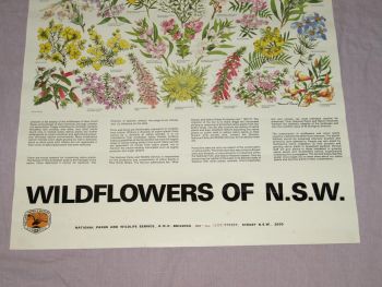 National Parks &amp; Wildlife Poster, Wildflowers of New South Wales. (4)