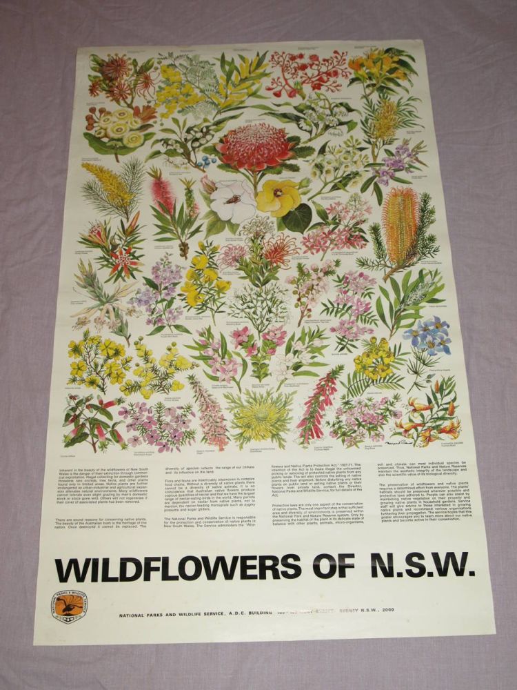 National Parks & Wildlife Poster, Wildflowers of New South Wales.