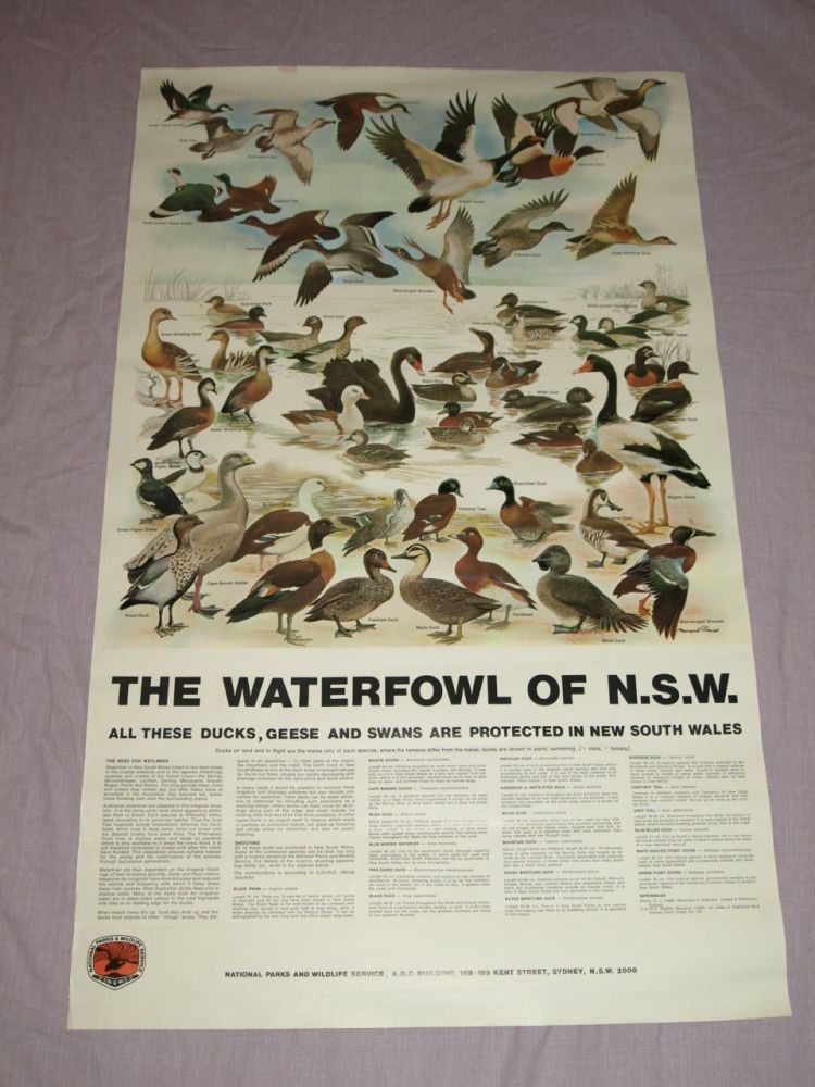 National Parks & Wildlife Poster, The Waterfowl of New South Wales.