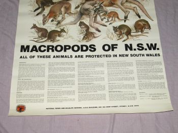 National Parks &amp; Wildlife Poster, Macropods of New South Wales. (4)