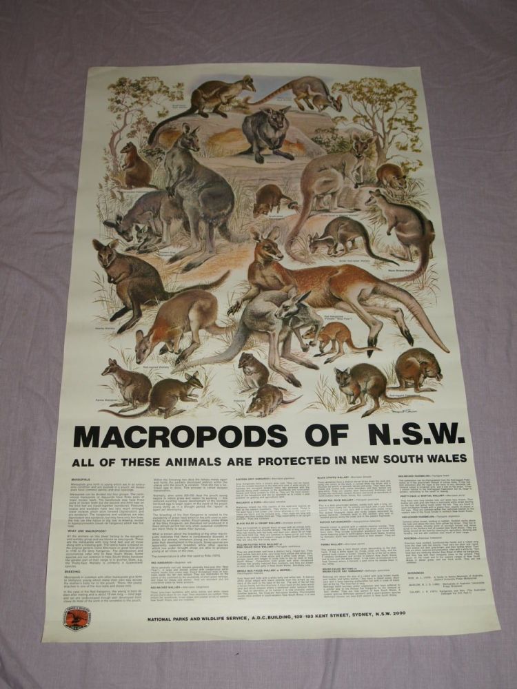 National Parks & Wildlife Poster, Macropods of New South Wales.