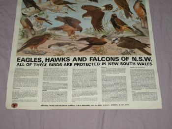 National Parks &amp; Wildlife Poster, Eagles, Hawks and Falcons of New South Wa