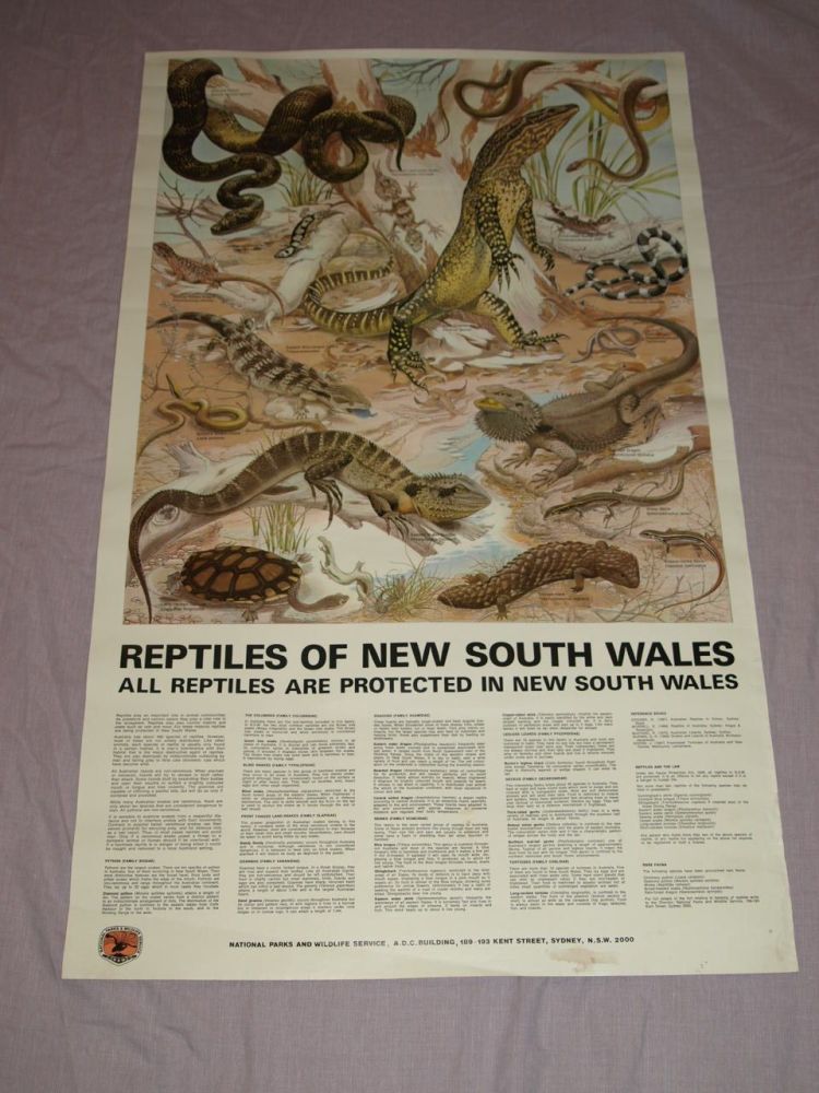 National Parks & Wildlife Poster, Reptiles of New South Wales.
